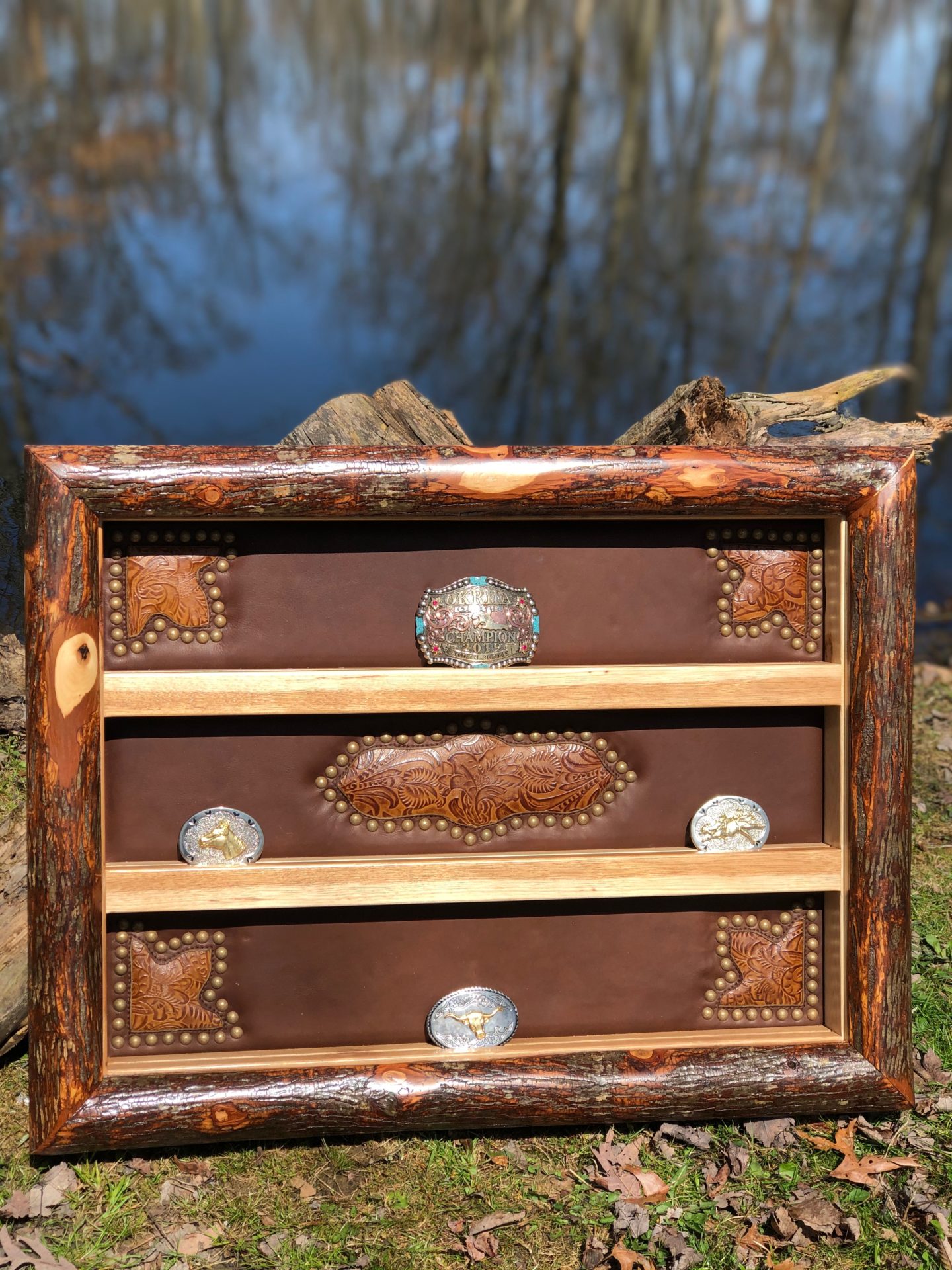 Belt Buckle Displays | Just Plain Crazy
