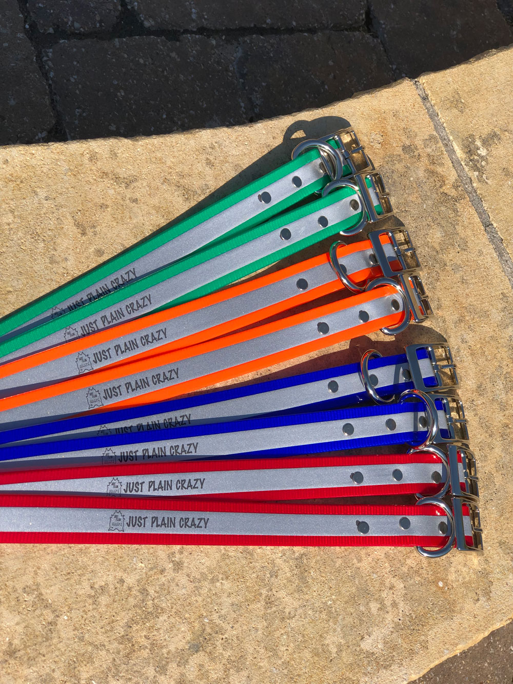 Reflective Dog Leash Just Plain Crazy